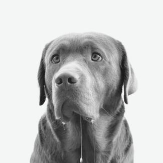 Architectural design draughtsperson